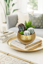 Artificial Cactus Plants Indoor, 7" Assorted Small Faux Succulent in Pots Fake Potted Desk Plant with Gold Bowl Mini Succulents Artificial Cactus Decor for Home Office Bathroom Table Shelf