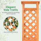 LDAILY Raised Garden Bed with Trellis, Above Ground Garden Bed with Hanging Roof, Side Trellis, & Drainage Holes, Planter Box for Outdoor Climbing Plants Vines Flowers (1, 31" L x 14" W x 60" H)