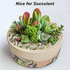 Decorative Ornamental Pebbles,Landscaping Pebbles,River Rocks,Garden Landscaping Stones,Gravel Filler for Home Decoration Flower Bed Fish Tank Plants Vases Succulents (1, Green, 10 Pounds)