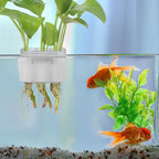 3 Holes Upgraded Aquatic Plant Cup Aquarium Plant Holder for Tank,Aquascape Accessories Decorations- White 4 Pcs