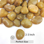 YISZM Rocks for Plant 5lbs, Yellow River Rocks 2-3 Inch Natural Pebbles for Indoor Plants, High Polished Decorative Stones Vase Filler Fish Tank Aquariums Landscaping Garden