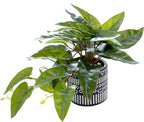 AlphaAcc Faux Plant Decor Potted Artificial Small Greenery Ivy Leaves Plants with Black and White Geometry Patterns Cement Pot for Office Desk Home Kitchen Decoration (Taro Leaf)