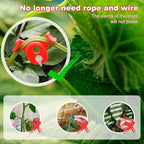 Ouligay 40pcs Plant Training Clips, Plastic Plant Clip, Lst Clips for Low Stress Training Plant Stem Support, 90 Degree Angle Plant Clips(Circle Style,Red and Green)