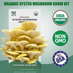Golden Oyster Mushroom Growing Kit - Organic Edible 4 lbs Mushroom Grow Kit, Grow Your Own Oyster Mushroom at Home, Handmade in USA, Non-GMO, Holiday Gardening Gift