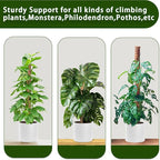 Moss Pole, 4 Pack 17Inch Monstera Plant Support for Climbing Plants Accessories Indoor -Stackable Moss Poles Plant Support Stakes -Coir Plant Pole Sticks for Potted Plants -Pothos, Tall Plant Trellis