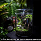 SARUFO Small Glass Plant Terrarium 4.7"X7" Inches Succulent Air Planter Fern Moss Micro-Landscape Vase for Home Garden Office Tabletop Decoration Container with Lid Indoor Wardian Copyright Patent