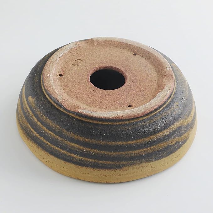 Wazakura Shigaraki Series Yellow Dust Stripe Glazed Ceramic Bonsai Pot Made in Japan, Garden Training Container, Flower Planter, Succulent Bowl - Yellow Sand Big Size