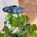 Stormy Dripping Rain Cloud with Heart Charm, Valentine Gift for Plant Lovers