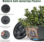 T4U 12 Inch Self Watering Pots for Indoor Plants, 2 Pack Large Plant Pots, Self Watering Planter for Indoor Plants, Durable Plastic Pots (2 Pack,12", Gray)