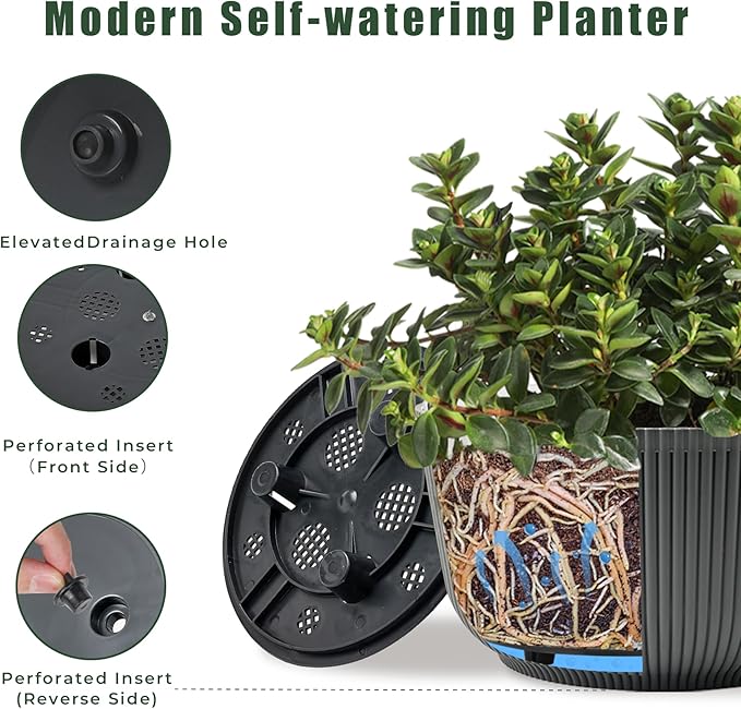 T4U 8 Inch Self Watering Pots for Indoor Plants, 2 Pack Plant Pots, Self Watering Planter for Indoor Plants, Durable Plastic Pots (2 Pack, 8", Gray)