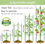 Legigo 4-Pack Tomato Cage for Garden Plant Support- Up to 63inch Garden Stakes Tomato Cage, Tomato Trellis for Potted Plants, Tomato Cages Plant Stakes for Climbing Vegetables Plants Flowers