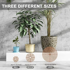 1Pack Large Plant Pot Grid, Cuttable Flower Pot Soil Cover Protectors with Deep Stakes, Dogs, Cats Digging Stopper, Plant Grid Pot Cover, 52cm/20.5in Diameter
