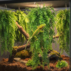 PINVNBY Reptile Plants Hanging Fake Vines Boston Climbing Terrarium Plant with Suction Cup for Bearded Dragons Lizards Geckos Snake Pets Hermit Crab and Tank Habitat Decorations (4 Pack)