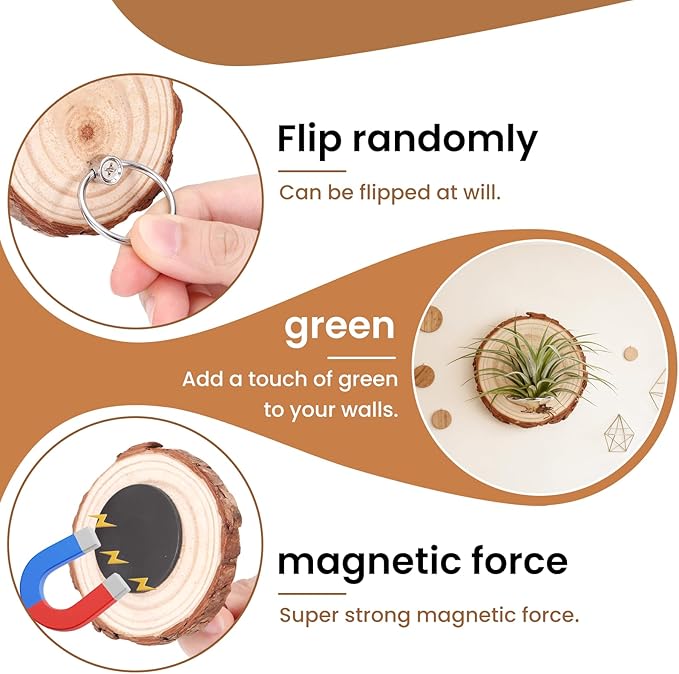 Magnetic Air Plant Holder, Natural Wood Slices Refrigerator Magnet Live Air Plant Holders, Modern Farmhouse Wall Decor for Living Room Bedroom Kitchen Office Home Garden (6 Pack)
