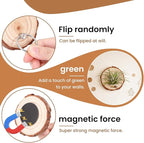 Magnetic Air Plant Holder, Natural Wood Slices Refrigerator Magnet Live Air Plant Holders, Modern Farmhouse Wall Decor for Living Room Bedroom Kitchen Office Home Garden (6 Pack)