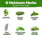 HOME GROWN 6 Herb Seeds for Planting 2,650+ Non-GMO Heirloom Seeds | Extra Large Variety Pack Herb Kit – Indoor Outdoor & Hydroponic | Culinary Seed Set | Grow Your Own Herbs | Gift for Beginners