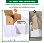 STHIE 5 Inch Ceramic Planters for Indoor Plants, Funny Small Plant Pots with Drainage, Unique Decorative Cute Flower Pot Panthers Round Flowerpots