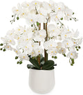 Briful Extra Large White Orchid Artificial Flowers in Cream Resin Pot, 29.5in Lifelike Silk Orchid Arrangement Faux Phalaenopsis Plant for Elegant Home Office Table Centerpiece Décor