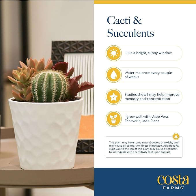 Costa Farms Succulents, Live Succulent Plants (18-Pack) Assorted Grower's Choice Live House Plants, Nursery Planter Pots, Potting Soil Mix, Bulk Gift for Baby Shower, Bridal Shower, DIY, Party Favors