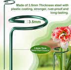 Fabulas 24 Pack Plant Support Stakes, 16 Inch Metal Garden Plant Stakes Single Stem Support Rings for Indoor Outdoor Amaryllis, Flowers Orchid, Lily, Peony, Rose, Tomato, Monstera, Narcissus