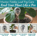 Houseplant Resource Center Fiddle Leaf Fig 3-in-1 Soil Moisture Meter for Plants – Best Indoor Plant Water Meter for Potted Houseplants - Light & Moisture Sensor Probe for Optimal Growth