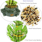 Athena’s Garden Lucky Bamboo Indoor Live Plant 3 Tier Tower Fresh Plant in Ceramic Planter (Elephant)