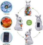 Nacome Solar Garden Outdoor Statues Bunny with Succulent and 7 LED Lights – Lawn Decor for Patio, Balcony, Yard Ornament for Mom Grandma Women
