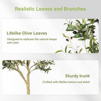 FEELEAD 6ft Faux Olive Tree – Tall Artificial Olive Tree with Natural Trunk, Fake Olive Tree Indoor Decor, Olive Plant Artificial Indoor for Home and Office