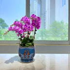 W&W Orchid Pot with Holes and Saucer for Repotting, Blue, 6.5"