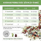3/8 Inch Mixed Color Pebbles, Polished Decorative Gravel Colorful River Rock for Plants - for Succulent, Cactus, Fish Tank, Vase, Bird Bath, Garden Landscaping and Top Dressing-6LB