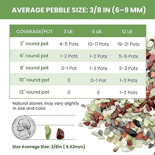 Gravel for Plants, 3/8 Inch Pebbles Polished Decorative Aquarium Gravel - Small River Rocks for Fish Tank, Succulent, Vase, Bird Bath, Garden Landscaping and Top Dressing-3LB