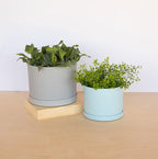 Bloem Mathers 6" Misty Blue Round Modern Resin Garden Planter Pot with Drainage Holes and Removable Saucer Tray Included