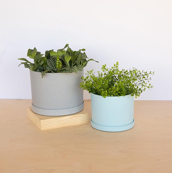 Bloem Mathers 6" Misty Blue Round Modern Resin Garden Planter Pot with Drainage Holes and Removable Saucer Tray Included