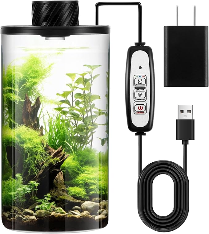 Maxdot Glass Plant Terrarium Kit with Light for Succulent, Moss, Miniature Gardening Landscape, Betta Fish Tank, Office Home Decoration, Plant Lovers Gifts (7.9 x 3.9 Inch)
