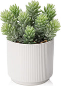 Briful Flocked Fake Plants Realistic Succulents Artificial Plant in Ceramic Pot, Faux Succulent for Home Shelf Tabletop Modern Bathroom Decor
