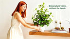19'' Artificial Ficus Plant in White Textured Ceramic Pot Realistic Faux Greenery with Lifelike Leaves Fake Plants for Indoor Home Office Bathroom Shelf Desk Tabletop Decor