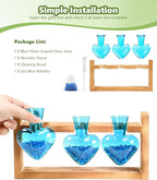 Nacome Plant Terrarium Propagation Stations: Mothers Day Gifts for Mom Plant Lovers Women Wife Daughter - 3 Bulb Glass Vases with Wooden Stand Tabletop for Hydroponics Home Garden Decor