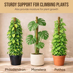 Craft911 Moss Pole Monstera Plant Support – 2 Pack 30” Bendable Moss Pole Monstera Plant Support, Plant Stakes for Indoor Plants, Tall Plant Sticks Support for Climbing Plants