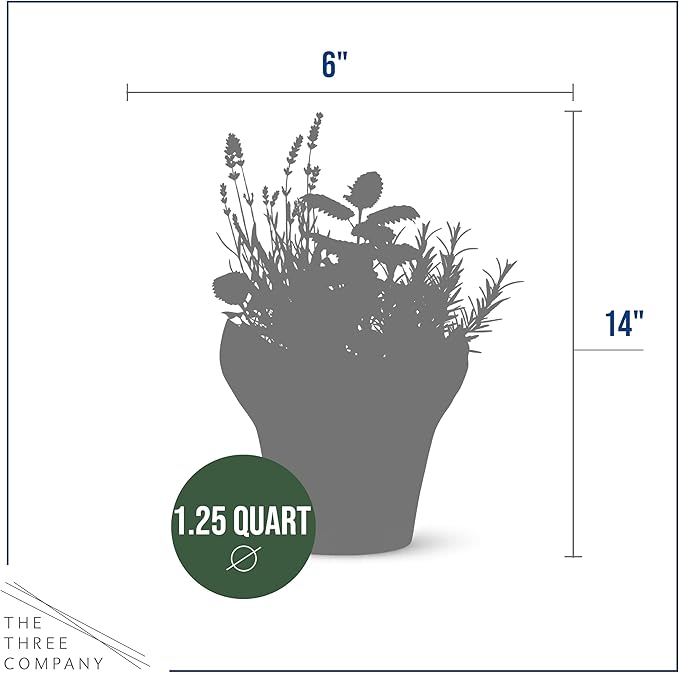 Live Aromatic and Healthy Herb Combo in Deco Cover - Sleep Aid, Combo Includes Lavender, Rosemary, and Lemon Balm, 12" Tall by 6" Wide in 1.25 Quart Pot