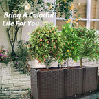 Raised Garden Beds Planters for Outdoor Plants Box Plastic Elevated Garden Bed Kit for Vegetables Flowers Herbs in Backyard Patio Balcony