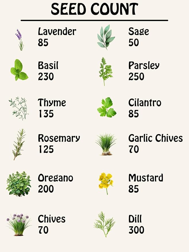 Herb Seed Pack Collection - 12 Varieties Including Basil, Parsley, Rosemary, Dill, Chives, Garlic Chives, Oregano, Mustard, Thyme, Cilantro, Sage & Lavender - Great for Gardening & Cooking