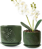 5+6 inch Orchid Pots with Holes, Orchid Pots for Repotting, Healthy Air Circulation Plant Pots for Plant Lovers, Planters for Indoor/Outdoor Plants, Set of 2