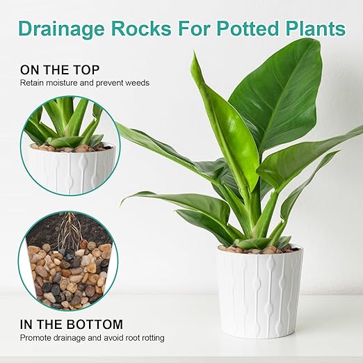 Calofulston 2.2lb Drainage Rocks for Potted Plants, 1/5 Inch Small Pebbles for Plants, Aquarium, Fish Tank, Terrarium, Succulent, Vases, Decorative Pea Gravel, Mixed Color