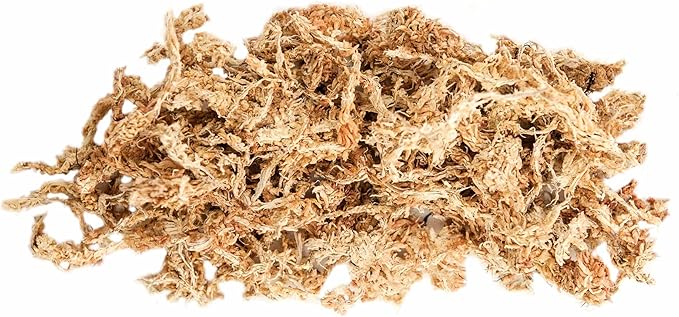 Galápagos (05350) Humid Environment Terrarium Kit – Essential Moss Accessories for Dart Frogs, Iguanas, Chameleons & Reptile Tanks