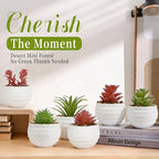 6-Pack Mini Artificial Succulents in Ceramic Pots,Small Fake Plants for Desk, Bathroom, Aesthetic Living Room & Home Office Decor,Office Desk Accessories