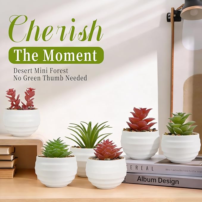 6-Pack Mini Artificial Succulents in Ceramic Pots,Small Fake Plants for Desk, Bathroom, Aesthetic Living Room & Home Office Decor,Office Desk Accessories