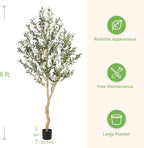 Realead 6ft Faux Olive Tree, Tall Olive Tree Plants, Fake Potted Olive Silk Tree, Artificial Olive Trees for Modern Home Office Living Room Floor Decor Indoor