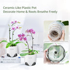 6 inch Orchid Pots with Holes for Repotting with Excellent Airflow, Set of 1, Double Layer Plastic Imitate Ceramic Orchid Planter, Clear Orchid Pot Match Decorative Orchid Container