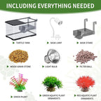 (Tank + Light + Filter Balls) Turtle Tank Kit, Turtle Tank Starter Kit,Bottom Drainage, Multi-Function Areas for Turtles, Crabs,Fishes, Amphibians,Reptiles. (11.81 × 7.88 × 7.88 Inch)