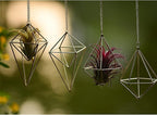 4Pcs Hanging Metal Air Plant Holder with Chain Mini 2 Style Tillandsia Geomitric Airplants Hanger Air Fern Cage Decor for Home and Office
